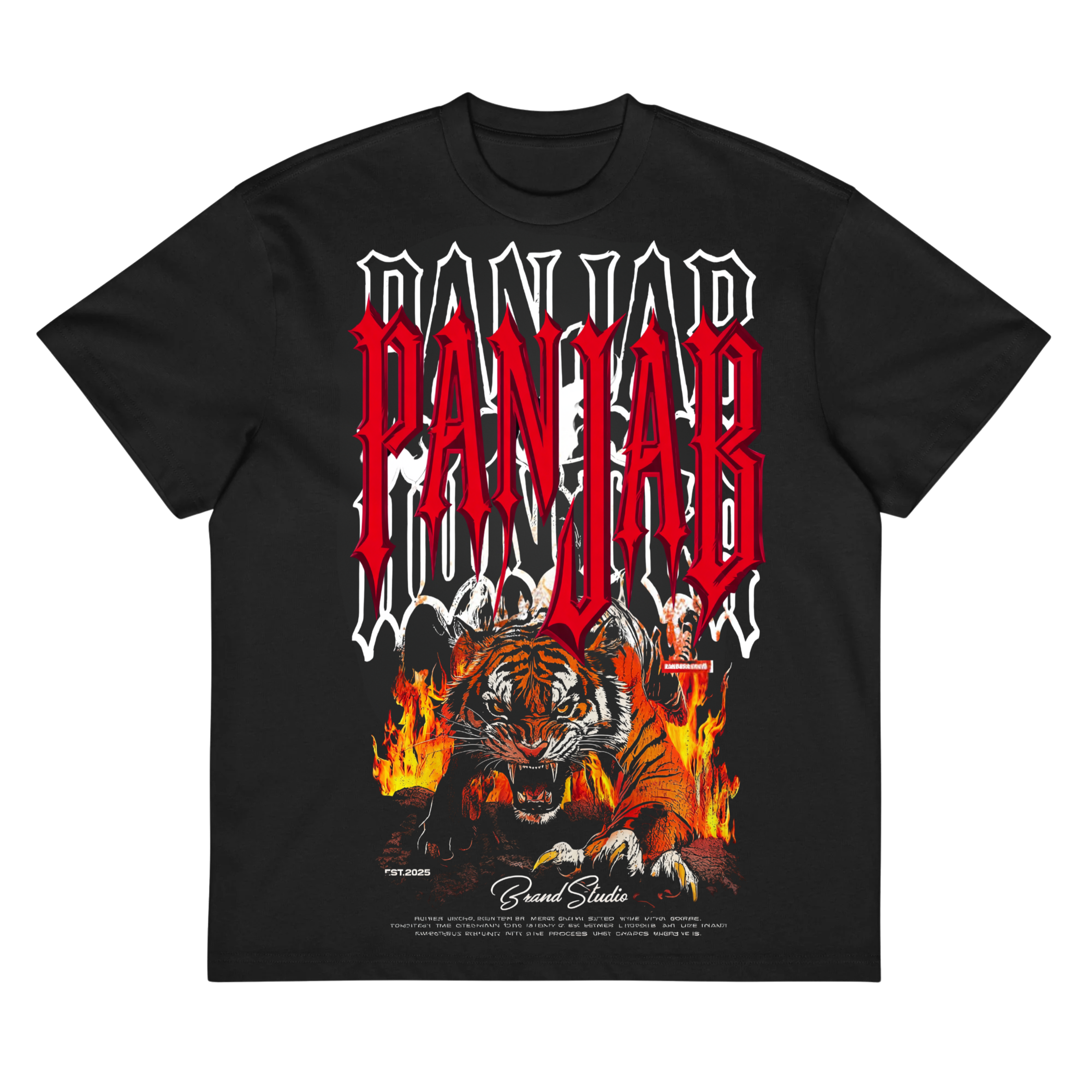 PANJAB Tee — Heritage Drop
